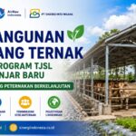 Pembangunan Kandang Ternak melalui Program TJSL AirNav Banjarbaru untuk Mendukung Peternakan Berkelanjutan